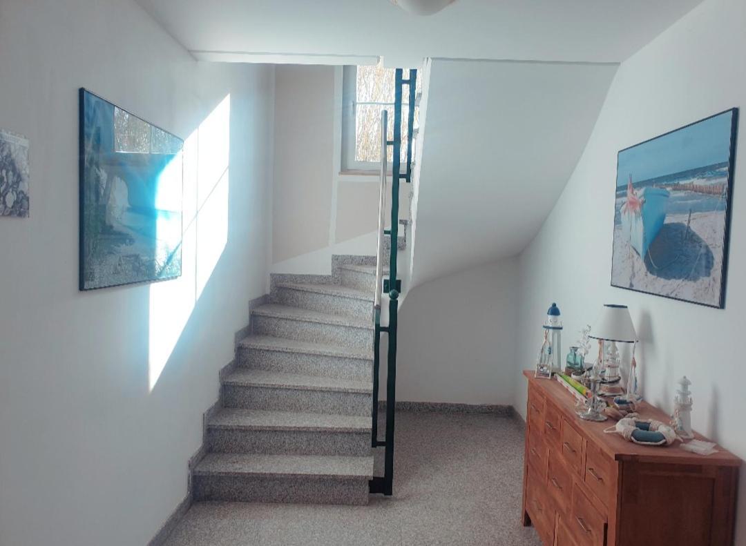 Appartementhaus Ostseeluft Lohme Dış mekan fotoğraf